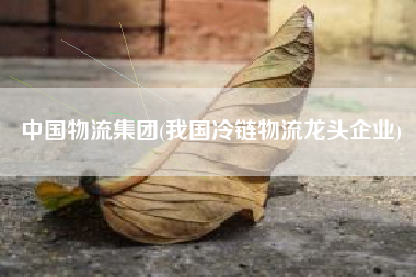 详细阅读:中国物流集团(我国冷链物流龙头企业) 中国物流集团(我国冷链物流龙头企业)