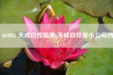 详细阅读:603085 天成自控股票(天成自控是小公司吗) 603085 天成自控股票(天成自控是小公司吗)