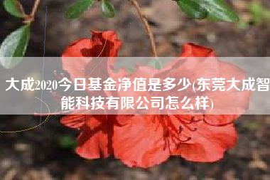详细阅读:大成2020今日基金净值是多少(东莞大成智能科技有限公司怎么样) 大成2020今日基金净值是多少(东莞大成智能科技有限公司怎么样)