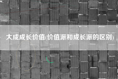 详细阅读:大成成长价值(价值派和成长派的区别) 大成成长价值(价值派和成长派的区别)