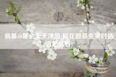 详细阅读:易基50基金天天净值(同花顺基金实时估值怎么看) 易基50基金天天净值(同花顺基金实时估值怎么看)