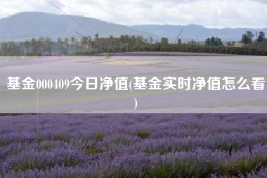 详细阅读:基金000409今日净值(基金实时净值怎么看) 基金000409今日净值(基金实时净值怎么看)