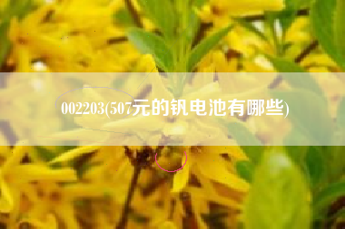 详细阅读:002203(507元的钒电池有哪些) 002203(507元的钒电池有哪些)