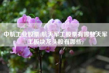 详细阅读:中航工业股票(航天军工股票有哪些天军工板块龙头股有哪些) 中航工业股票(航天军工股票有哪些天军工板块龙头股有哪些)
