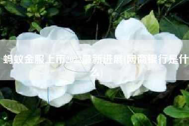 详细阅读:蚂蚁金服上市2022最新进展(网商银行是什么) 蚂蚁金服上市2022最新进展(网商银行是什么)