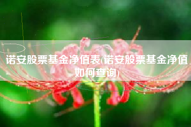 详细阅读:诺安股票基金净值表(诺安股票基金净值如何查询) 诺安股票基金净值表(诺安股票基金净值如何查询)