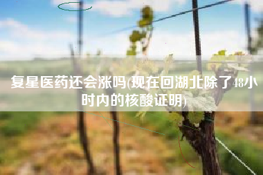 详细阅读:复星医药还会涨吗(现在回湖北除了48小时内的核酸证明) 复星医药还会涨吗(现在回湖北除了48小时内的核酸证明)