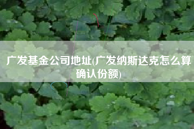 详细阅读:广发基金公司地址(广发纳斯达克怎么算确认份额) 广发基金公司地址(广发纳斯达克怎么算确认份额)