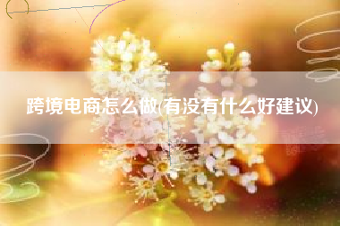 详细阅读:跨境电商怎么做(有没有什么好建议) 跨境电商怎么做(有没有什么好建议)