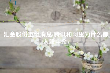 详细阅读:汇金股份重组消息(腾讯和阿里为什么都入股中金) 汇金股份重组消息(腾讯和阿里为什么都入股中金)