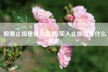 详细阅读:股票止损是什么意思(买入止损指令什么意思) 股票止损是什么意思(买入止损指令什么意思)