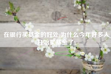 详细阅读:在银行买基金的好处(为什么今年好多人开始买基金了) 在银行买基金的好处(为什么今年好多人开始买基金了)