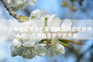 详细阅读:个人养老金基金名录(你身边的企业退休人员一个月能拿多少退休金) 个人养老金基金名录(你身边的企业退休人员一个月能拿多少退休金)