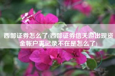 详细阅读:西部证券怎么了(西部证券信天游出现资金帐户表记录不在是怎么了) 西部证券怎么了(西部证券信天游出现资金帐户表记录不在是怎么了)