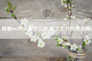 详细阅读:股票003开头是什么股(军工七月份会涨吗) 股票003开头是什么股(军工七月份会涨吗)