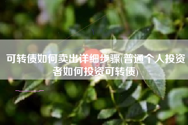可转债如何卖出详细步骤(普通个人投资者如何投资可转债)