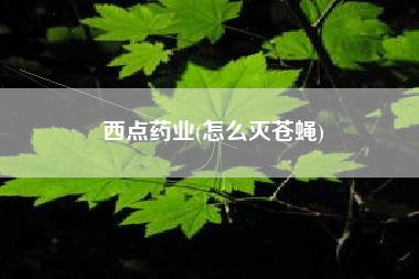 西点药业(怎么灭苍蝇)