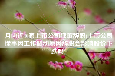 月内近40家上市公司独董辞职(上市公司懂事因工作调动原因辞职会影响股价下跌吗)
