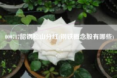 详细阅读:000717韶钢松山分红(钢铁概念股有哪些) 000717韶钢松山分红(钢铁概念股有哪些)