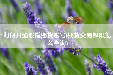 如何开通股指期货账号(期货交易权限怎么查询)