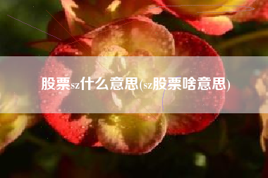 详细阅读:股票sz什么意思(sz股票啥意思) 股票sz什么意思(sz股票啥意思)