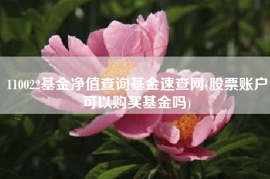 详细阅读:110022基金净值查询基金速查网(股票账户可以购买基金吗) 110022基金净值查询基金速查网(股票账户可以购买基金吗)
