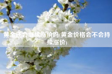 黄金还会继续涨价吗(黄金价格会不会持续涨价)
