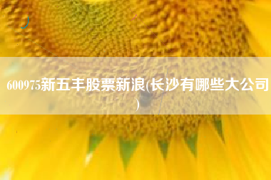 详细阅读:600975新五丰股票新浪(长沙有哪些大公司) 600975新五丰股票新浪(长沙有哪些大公司)