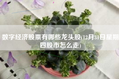 详细阅读:数字经济股票有哪些龙头股(12月31日星期四股市怎么走) 数字经济股票有哪些龙头股(12月31日星期四股市怎么走)