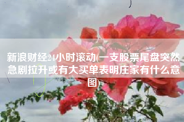 详细阅读:新浪财经24小时滚动(一支股票尾盘突然急剧拉升或有大买单表明庄家有什么意图) 新浪财经24小时滚动(一支股票尾盘突然急剧拉升或有大买单表明庄家有什么意图)