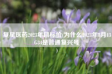 复星医药2023年目标价(为什么2023年8月13G34是普通复兴号
) 复星医药2023年目标价(为什么2023年8月13G34是普通复兴号
)