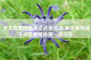 详细阅读:北大荒集团是央企还是国企(央企领导班子成员都是由哪一级任命) 北大荒集团是央企还是国企(央企领导班子成员都是由哪一级任命)