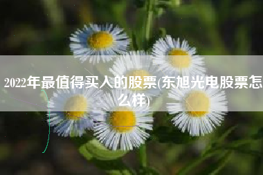 详细阅读:2022年最值得买入的股票(东旭光电股票怎么样) 2022年最值得买入的股票(东旭光电股票怎么样)