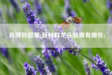 详细阅读:苏博特股票(新材料龙头股票有哪些) 苏博特股票(新材料龙头股票有哪些)