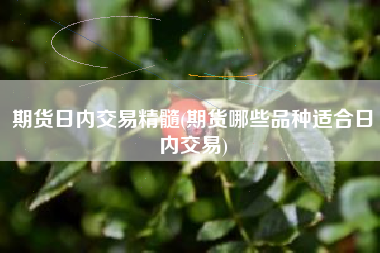 详细阅读:期货日内交易精髓(期货哪些品种适合日内交易) 期货日内交易精髓(期货哪些品种适合日内交易)