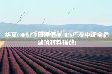 详细阅读:华夏000061今日净值(004856广发中证全指建筑材料指数) 华夏000061今日净值(004856广发中证全指建筑材料指数)