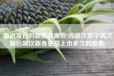 详细阅读:最近发行的新股有哪些(近端次新中端次新远端次新各是指上市多久的股票) 最近发行的新股有哪些(近端次新中端次新远端次新各是指上市多久的股票)