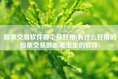详细阅读:股票交易软件哪个最好用(有什么好用的股票交易数据爬虫类的软件) 股票交易软件哪个最好用(有什么好用的股票交易数据爬虫类的软件)