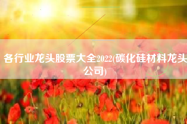 详细阅读:各行业龙头股票大全2022(碳化硅材料龙头公司) 各行业龙头股票大全2022(碳化硅材料龙头公司)