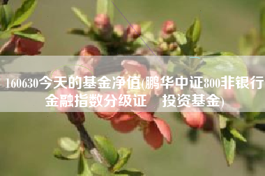 详细阅读:160630今天的基金净值(鹏华中证800非银行金融指数分级证劵投资基金) 160630今天的基金净值(鹏华中证800非银行金融指数分级证劵投资基金)