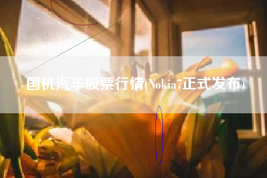 详细阅读:国机汽车股票行情(Nokia7正式发布) 国机汽车股票行情(Nokia7正式发布)
