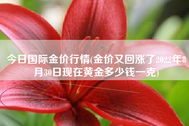 详细阅读:今日国际金价行情(金价又回涨了2022年8月30日现在黄金多少钱一克) 今日国际金价行情(金价又回涨了2022年8月30日现在黄金多少钱一克)
