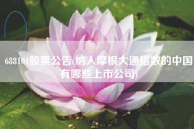 详细阅读:688101股票公告(纳入摩根大通指数的中国有哪些上市公司) 688101股票公告(纳入摩根大通指数的中国有哪些上市公司)
