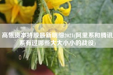 详细阅读:高瓴资本持股最新明细2021(阿里系和腾讯系有过哪些大大小小的战役) 高瓴资本持股最新明细2021(阿里系和腾讯系有过哪些大大小小的战役)