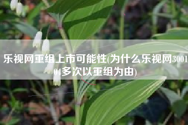 详细阅读:乐视网重组上市可能性(为什么乐视网300104多次以重组为由) 乐视网重组上市可能性(为什么乐视网300104多次以重组为由)