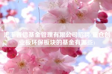 详细阅读:汇丰晋信基金管理有限公司招聘(重仓创业板环保板块的基金有哪些) 汇丰晋信基金管理有限公司招聘(重仓创业板环保板块的基金有哪些)