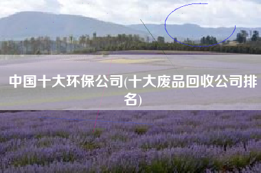 详细阅读:中国十大环保公司(十大废品回收公司排名) 中国十大环保公司(十大废品回收公司排名)