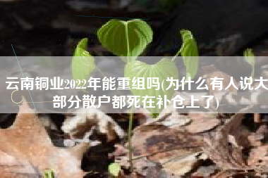 详细阅读:云南铜业2022年能重组吗(为什么有人说大部分散户都死在补仓上了) 云南铜业2022年能重组吗(为什么有人说大部分散户都死在补仓上了)