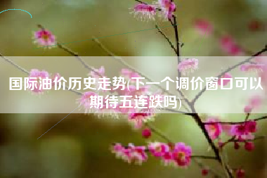 详细阅读:国际油价历史走势(下一个调价窗口可以期待五连跌吗) 国际油价历史走势(下一个调价窗口可以期待五连跌吗)