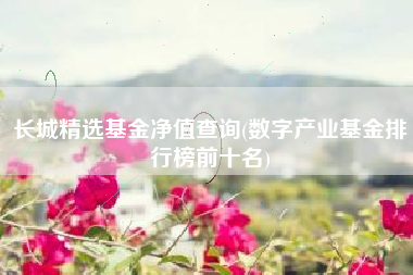 详细阅读:长城精选基金净值查询(数字产业基金排行榜前十名) 长城精选基金净值查询(数字产业基金排行榜前十名)